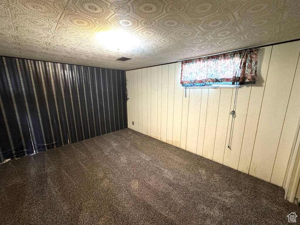 Basement with wood walls and carpet floors