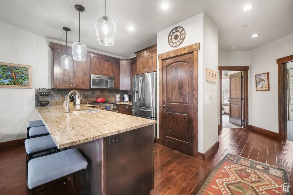 Kitchen featuring a peninsula, dark wood finished floors, stainless steel appliances, and a sink