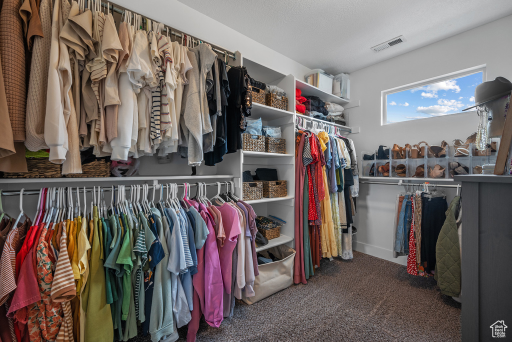 Walk in closet featuring visible vents and carpet floors