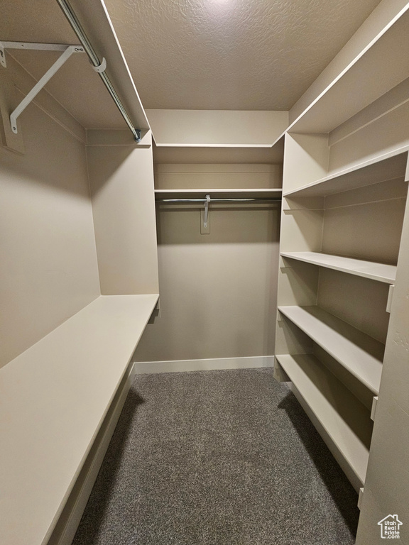 Spacious closet with carpet floors