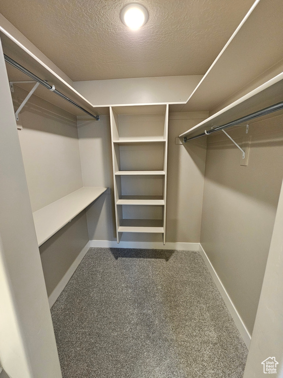 Walk in closet featuring carpet floors