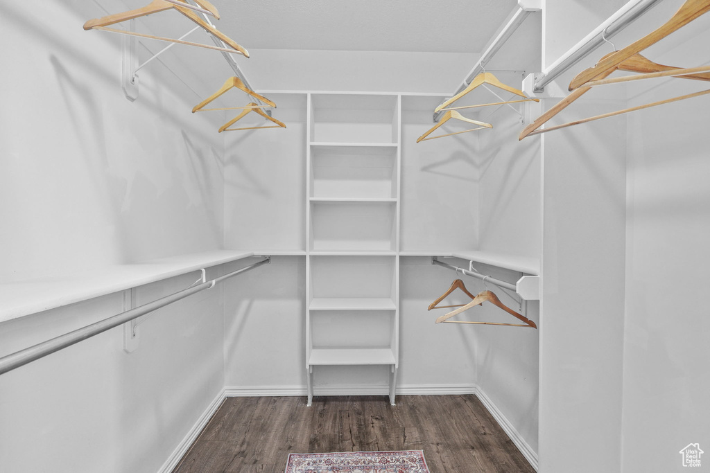 Spacious closet featuring dark wood-style flooring