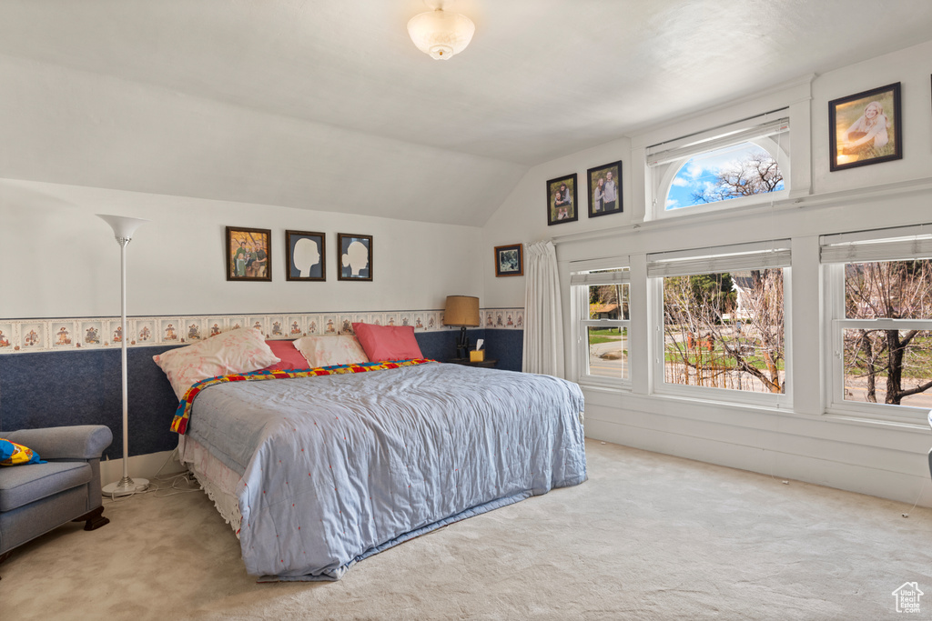Carpeted bedroom with lofted ceiling