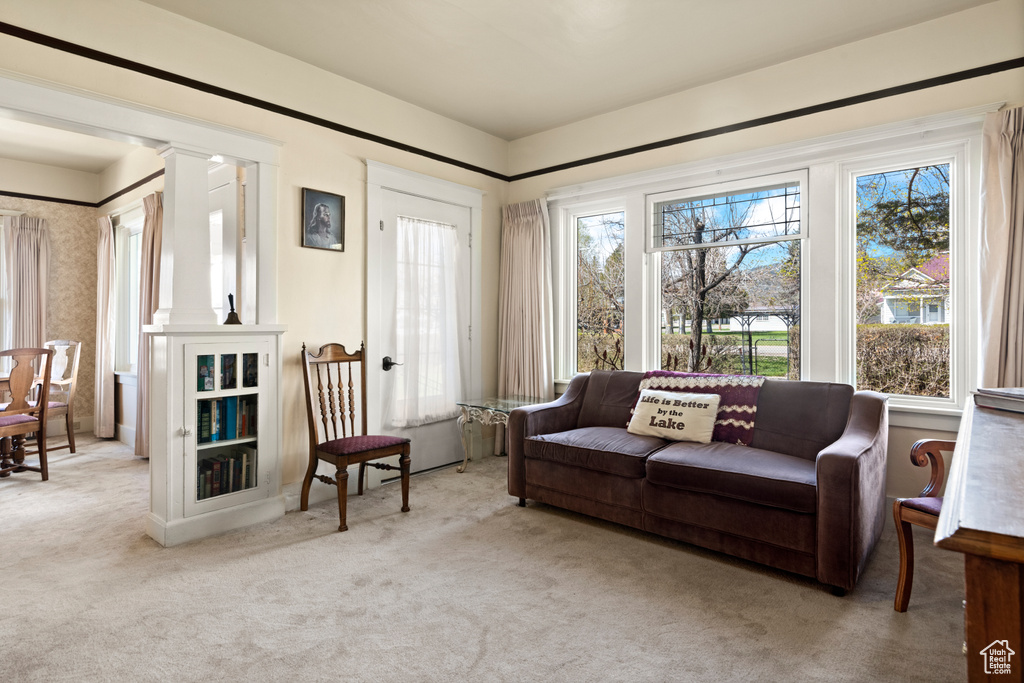 Living area featuring carpet