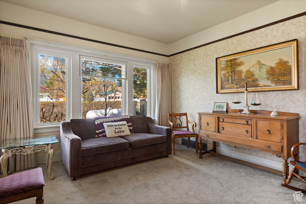 Sitting room with light carpet