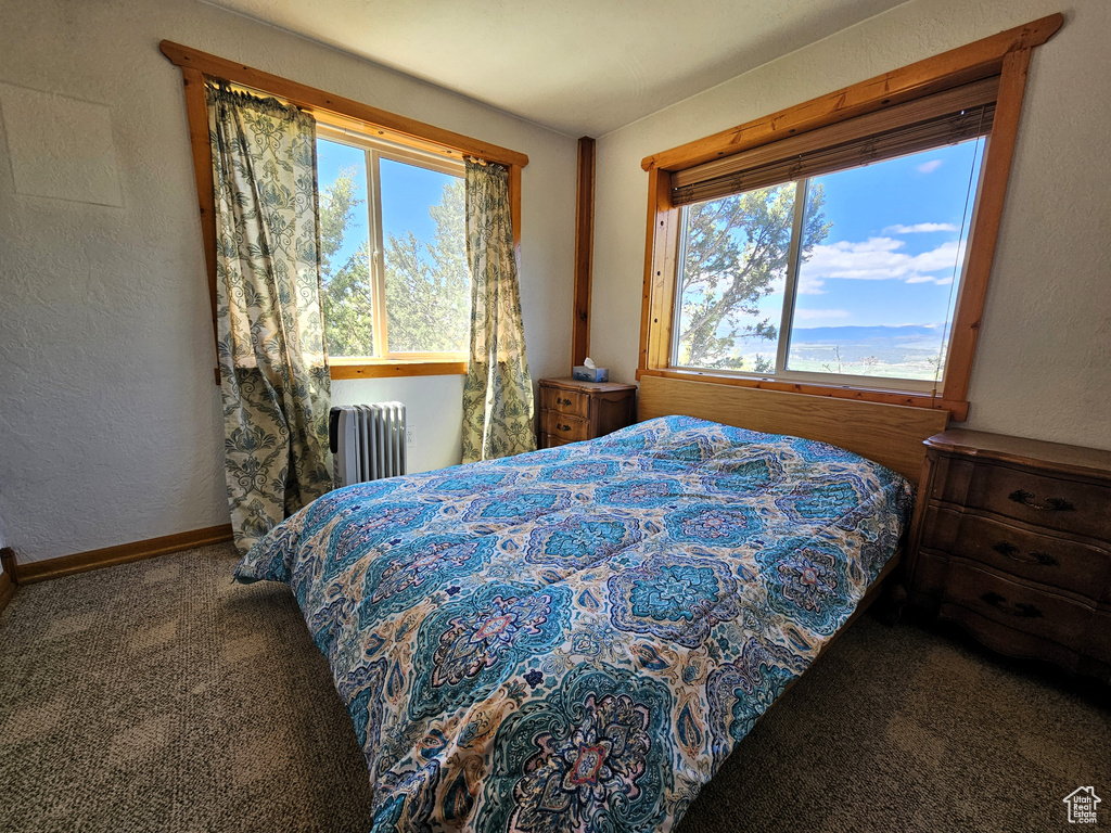 Bedroom with radiator, carpet, baseboards, and a textured wall