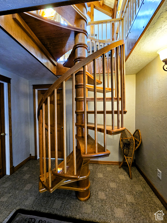 Interior space featuring carpet, baseboards, and a textured wall