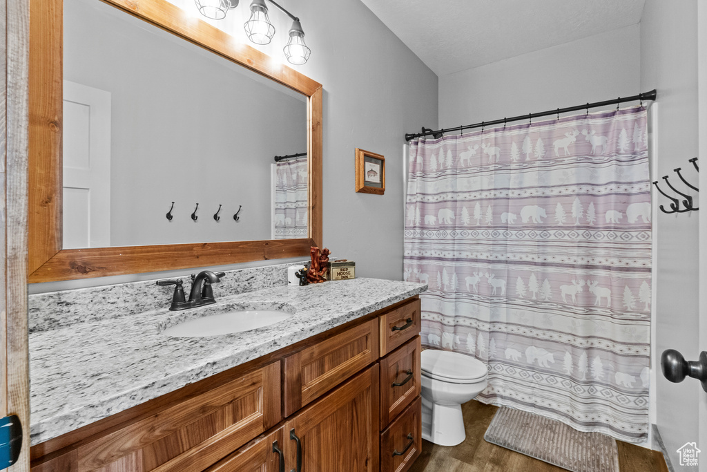 Bathroom featuring vanity, toilet, and wood finished floors