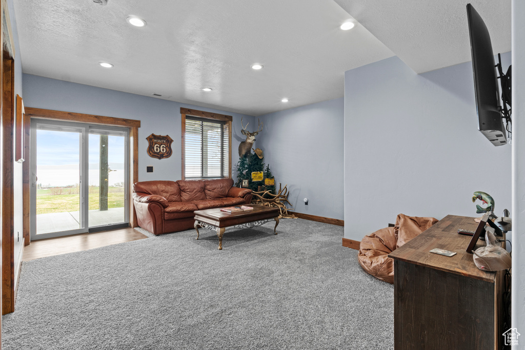 Carpeted living area featuring baseboards and recessed lighting