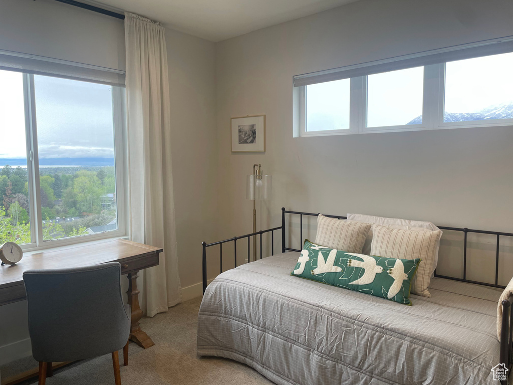 Bedroom with carpet flooring