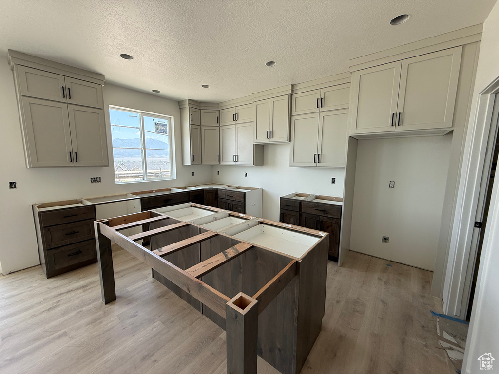 Kitchen featuring light wood-style floors, gray cabinets, a textured ceiling, and recessed lighting
