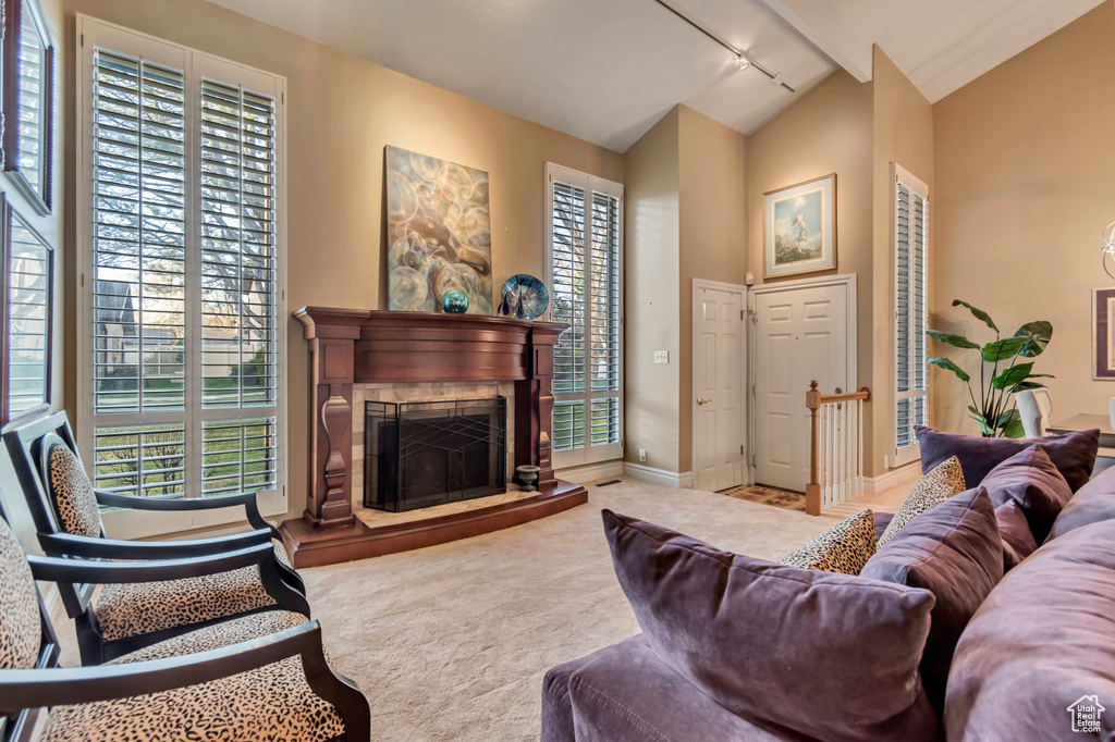 Carpeted living room with rail lighting, lofted ceiling, a fireplace with raised hearth, and plenty of natural light