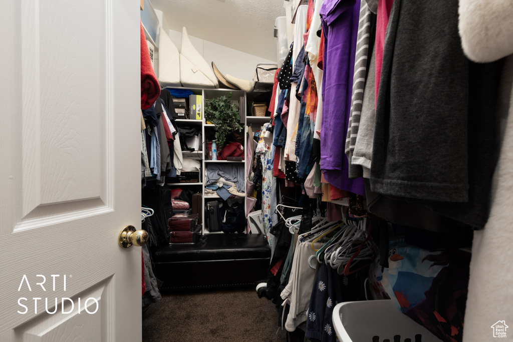 Spacious closet featuring carpet floors