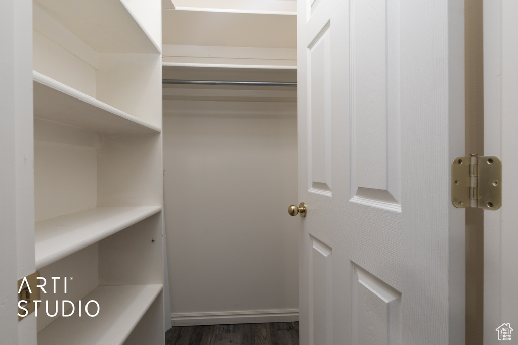Spacious closet featuring dark wood-style flooring