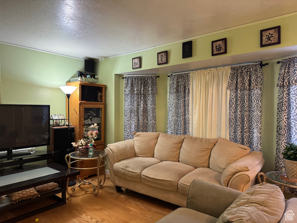 Living room featuring wood finished floors