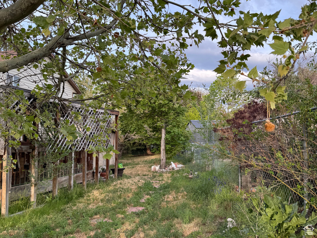 View of yard