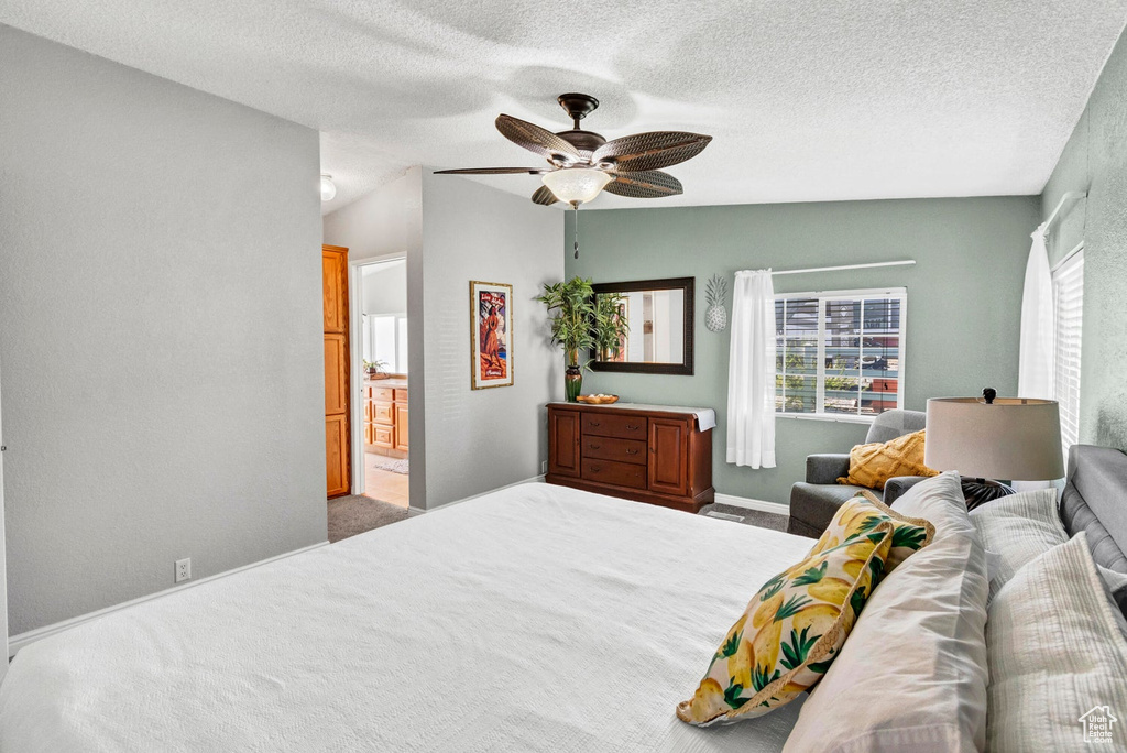 Bedroom featuring carpet flooring, multiple windows, and a textured ceiling