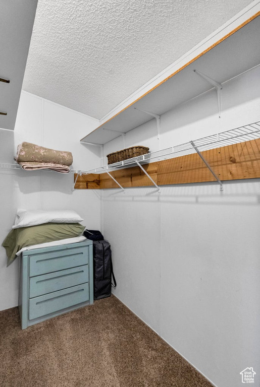 Walk in closet with carpet floors
