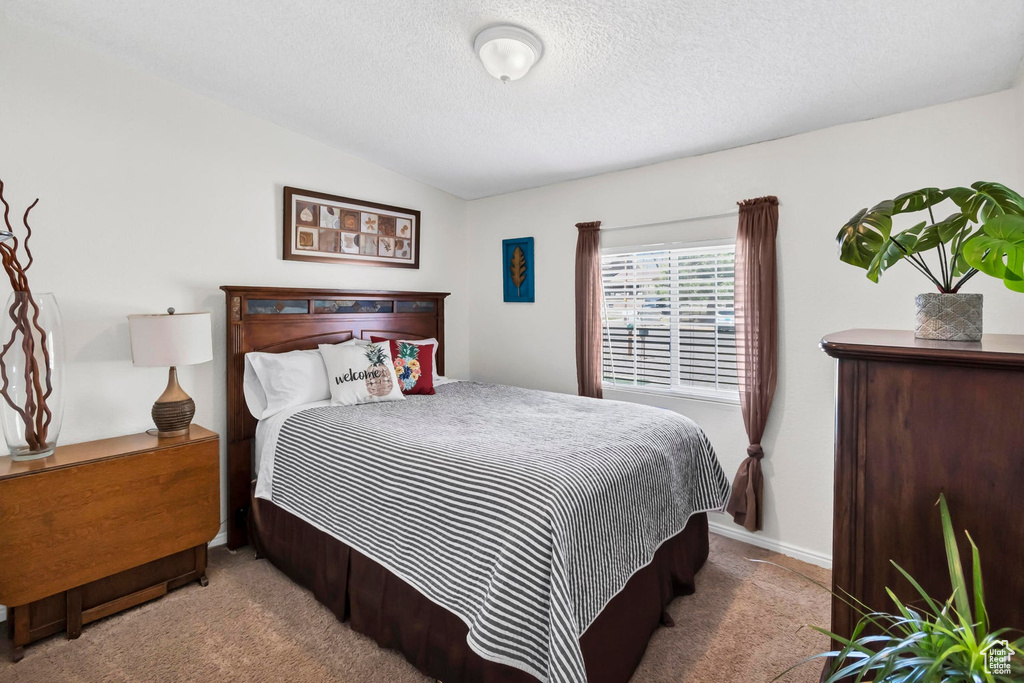 Bedroom with lofted ceiling, carpet flooring, and a textured ceiling