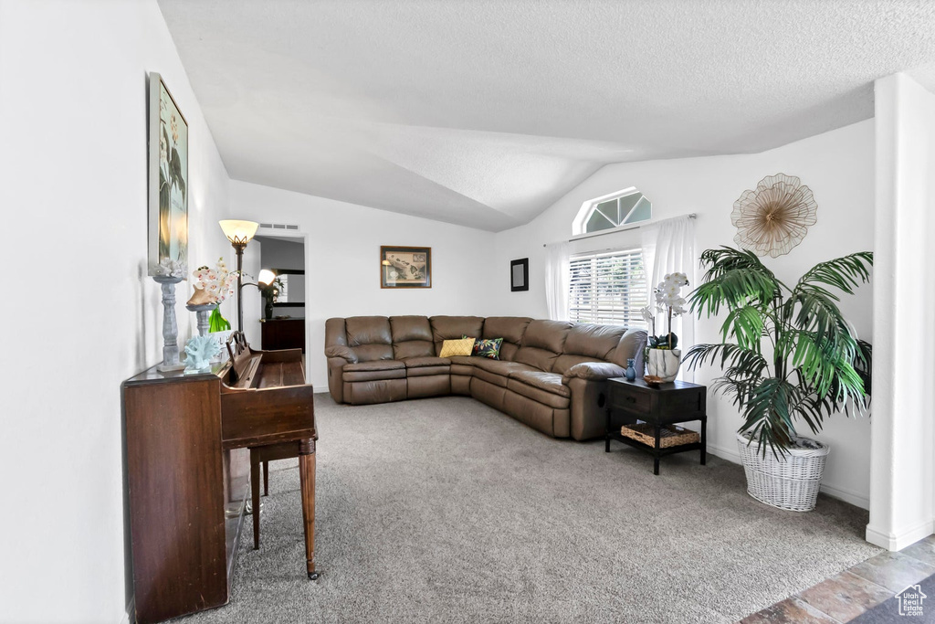 Living area featuring lofted ceiling, carpet flooring, a textured ceiling, and visible vents