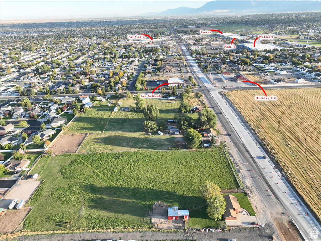 Bird's eye view