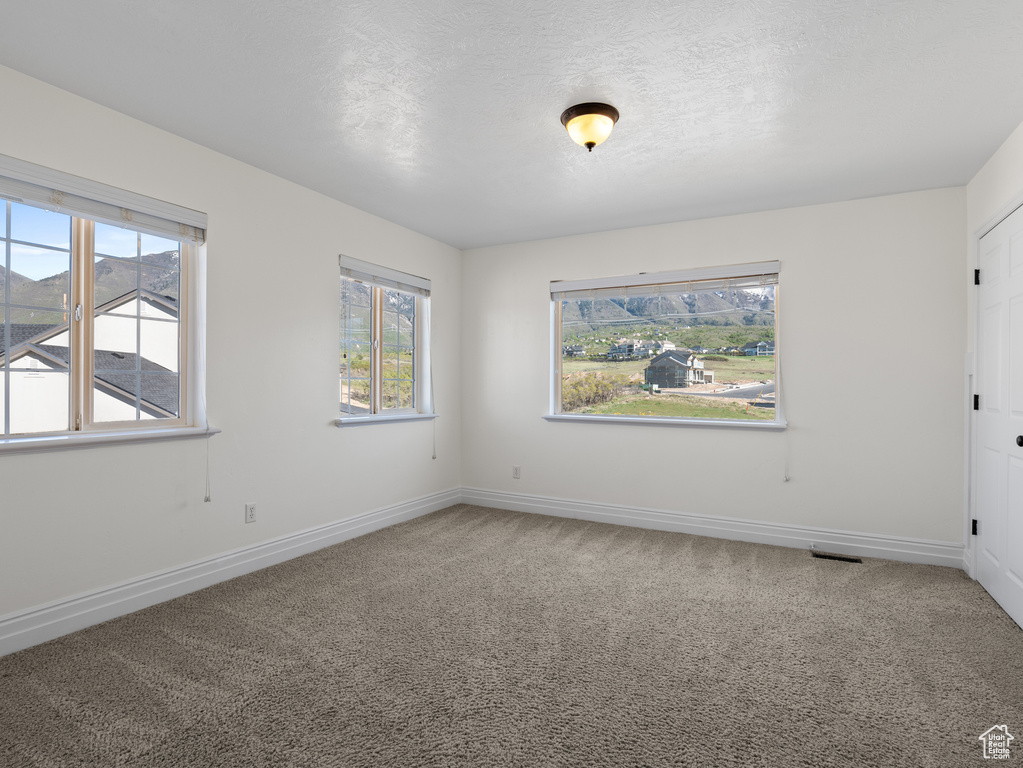 Carpeted empty room featuring baseboards, a wealth of natural light, and visible vents