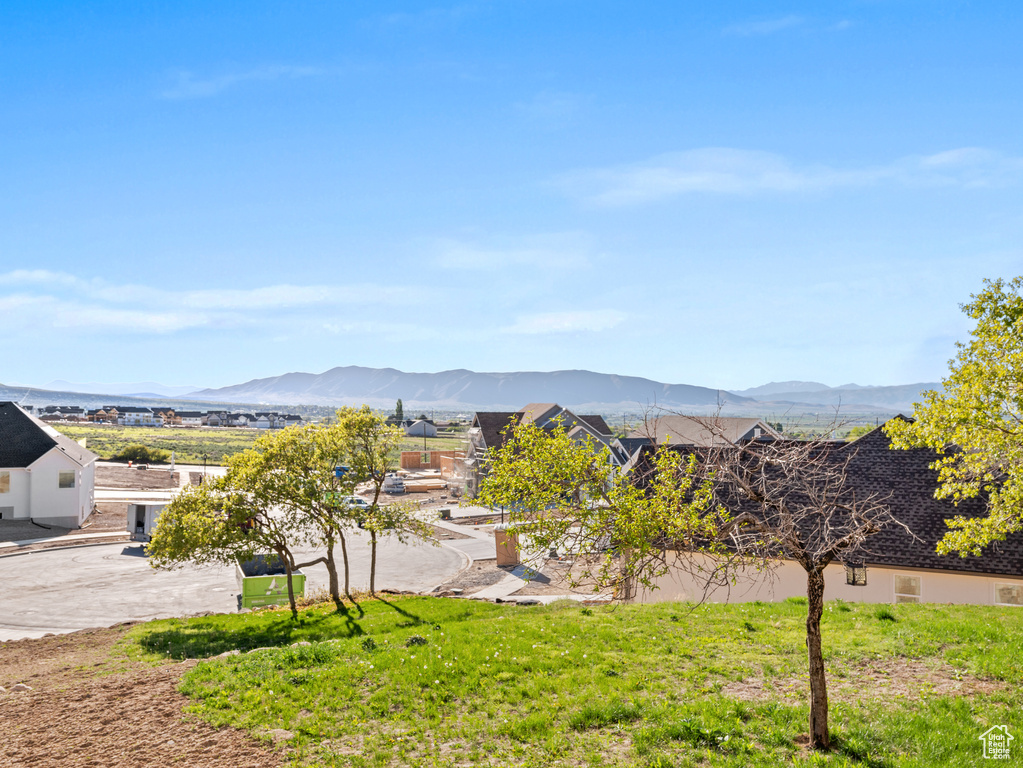 Mountain view