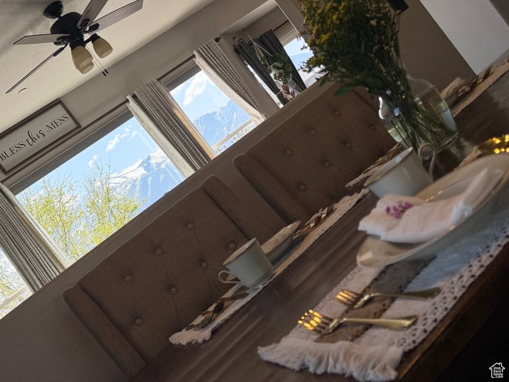 Details featuring a ceiling fan