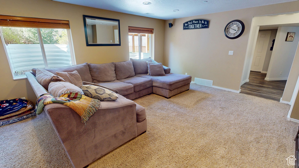 Living area featuring carpet floors, baseboards, visible vents, and a wealth of natural light
