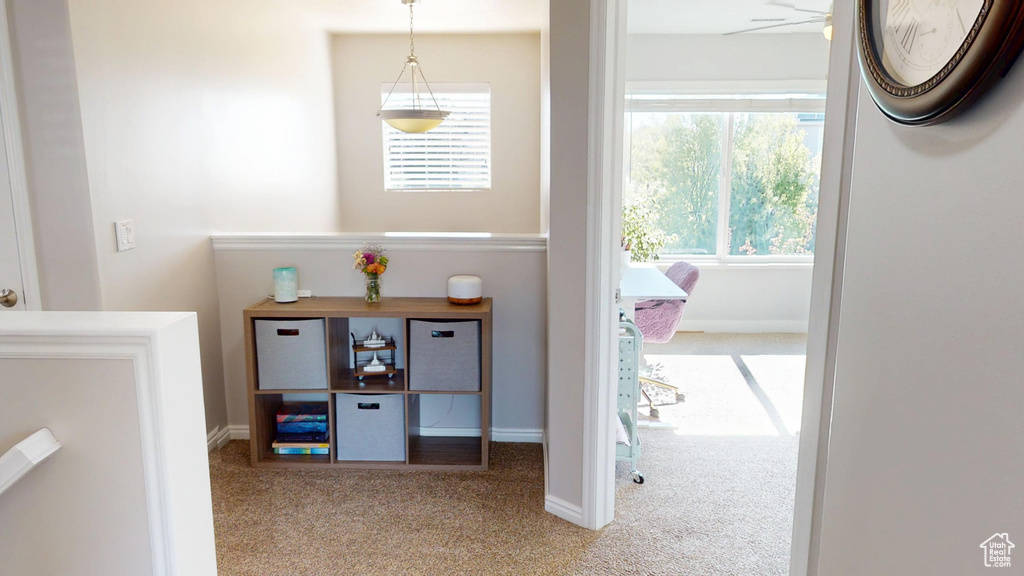 Hallway with baseboards and carpet