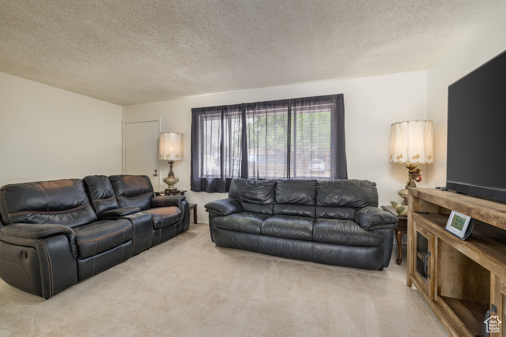 Living area featuring carpet and a textured ceiling