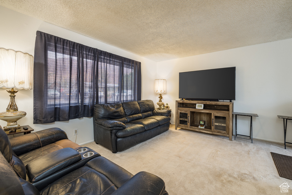Living room featuring a textured ceiling, carpet flooring, and baseboards