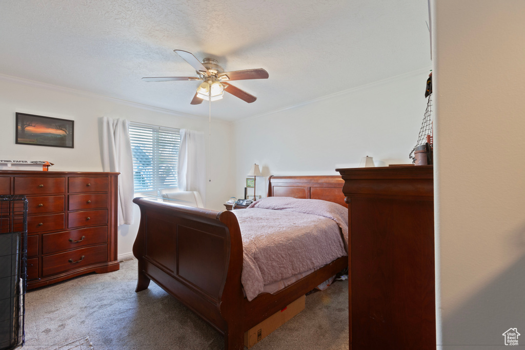 Bedroom with ornamental molding, carpet flooring, and a ceiling fan