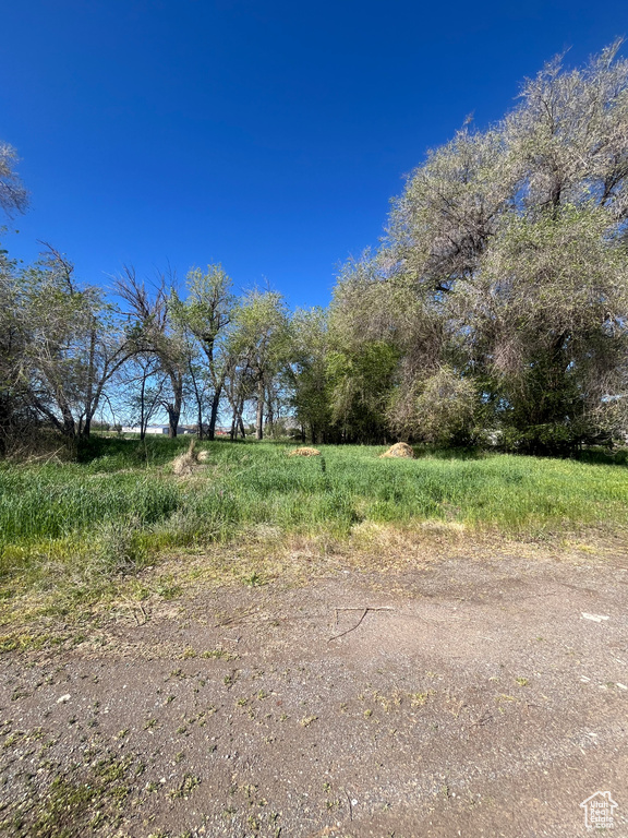 View of nature