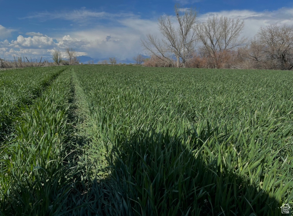 View of nature with a rural view
