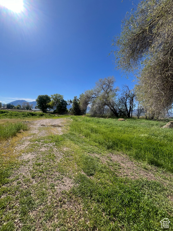 View of street with a view of rural / pastoral area