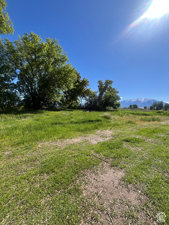 View of yard with a rural view and a mountain view