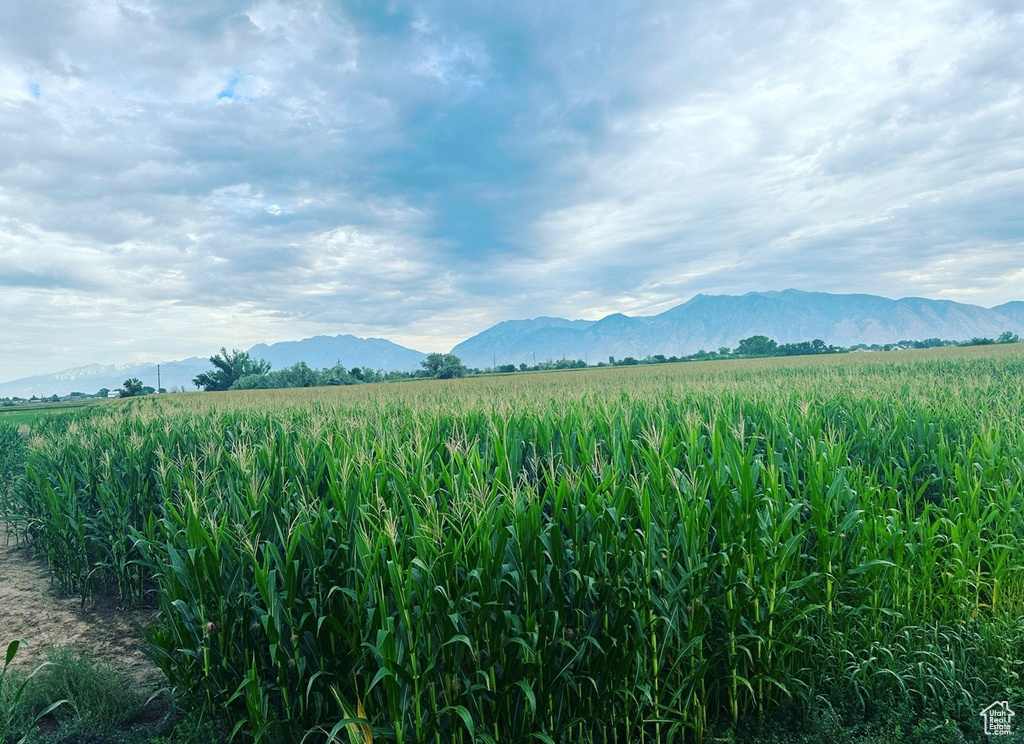 Property view of mountains with a rural view
