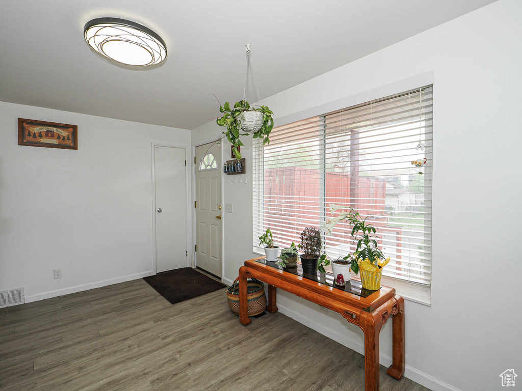 Foyer entrance featuring plenty of natural light, wood finished floors, and baseboards