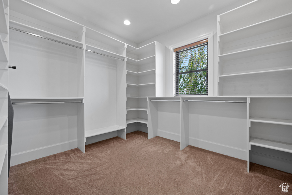 Spacious closet featuring carpet floors