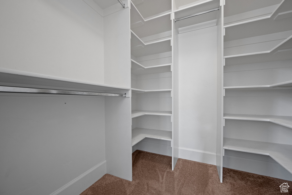 Walk in closet featuring carpet flooring