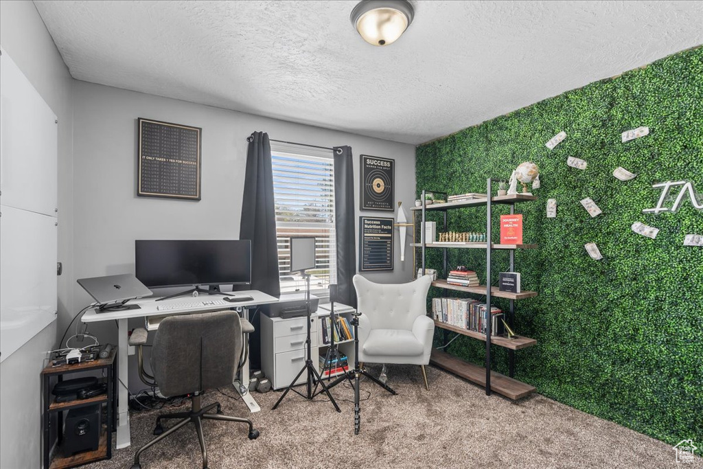 Home office featuring a textured ceiling and carpet