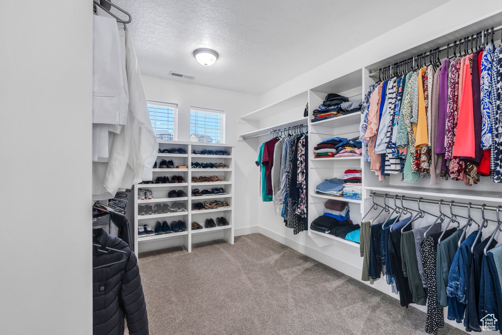 Spacious closet featuring visible vents and carpet floors