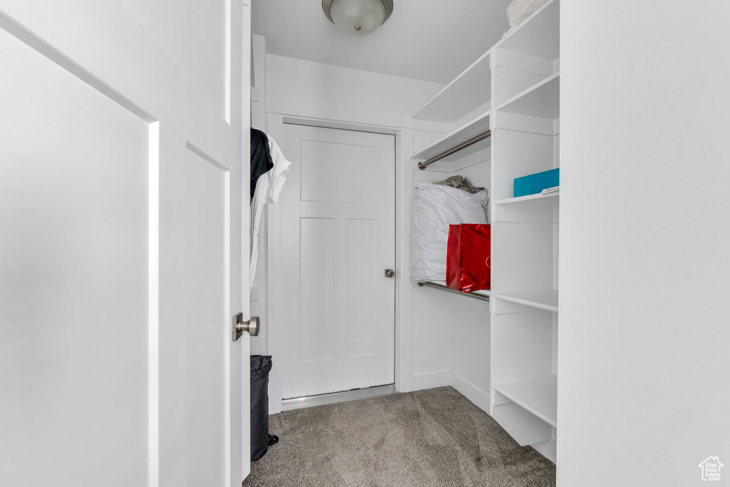 Spacious closet with carpet floors