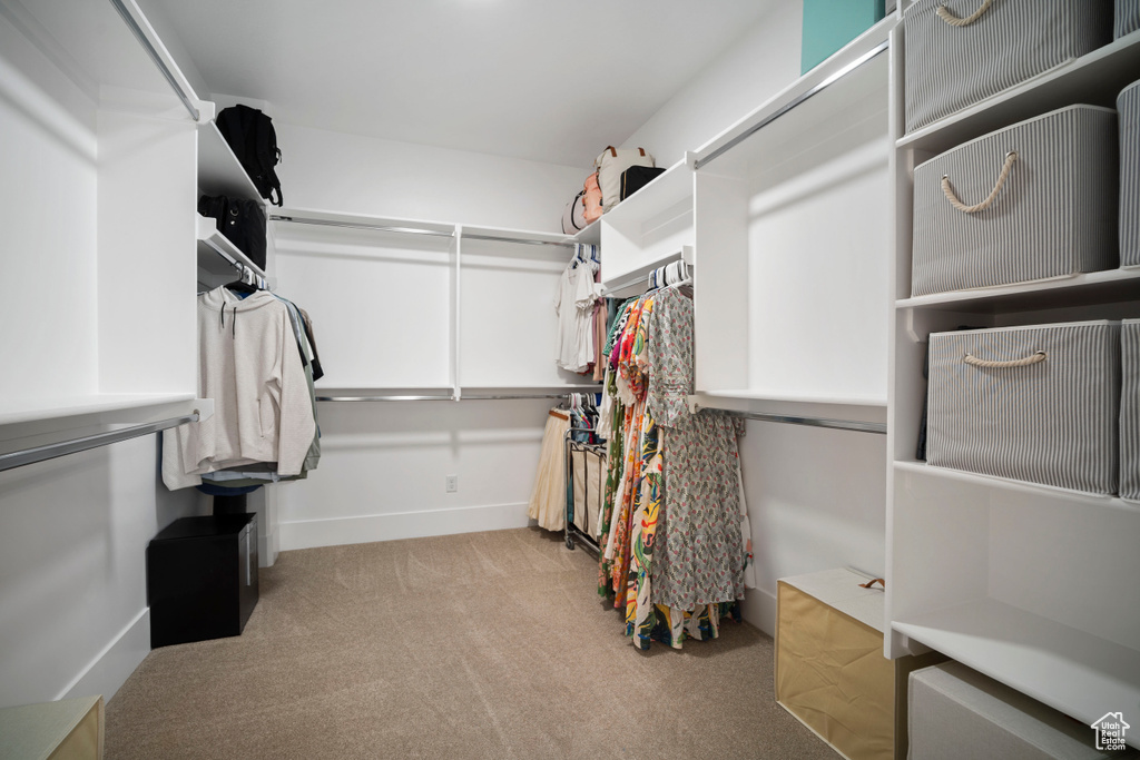 Spacious closet with carpet flooring