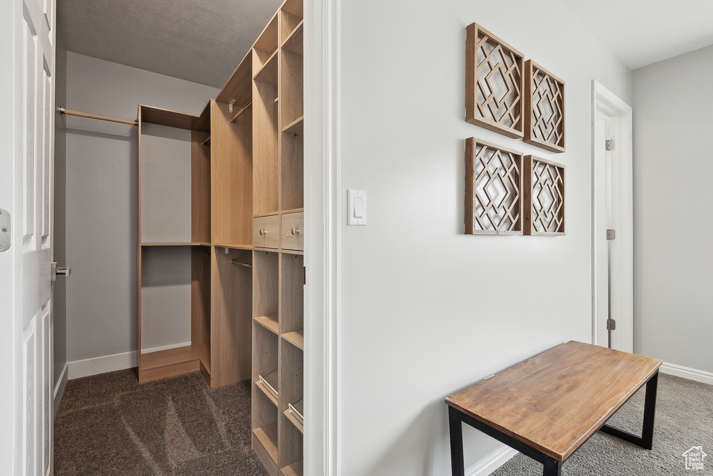 Spacious closet with carpet