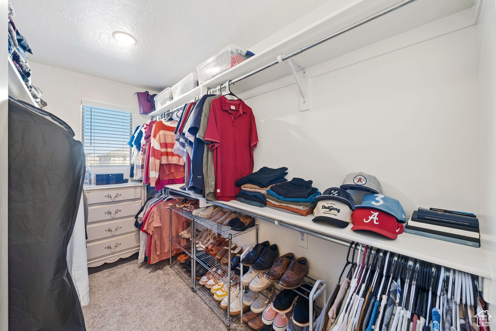 Spacious closet featuring carpet flooring