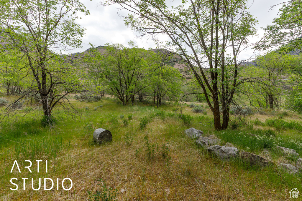 View of yard with a mountain view