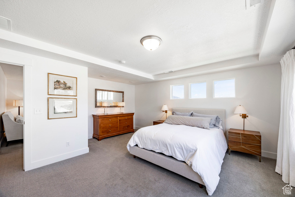 Bedroom featuring carpet floors, baseboards, and a tray ceiling