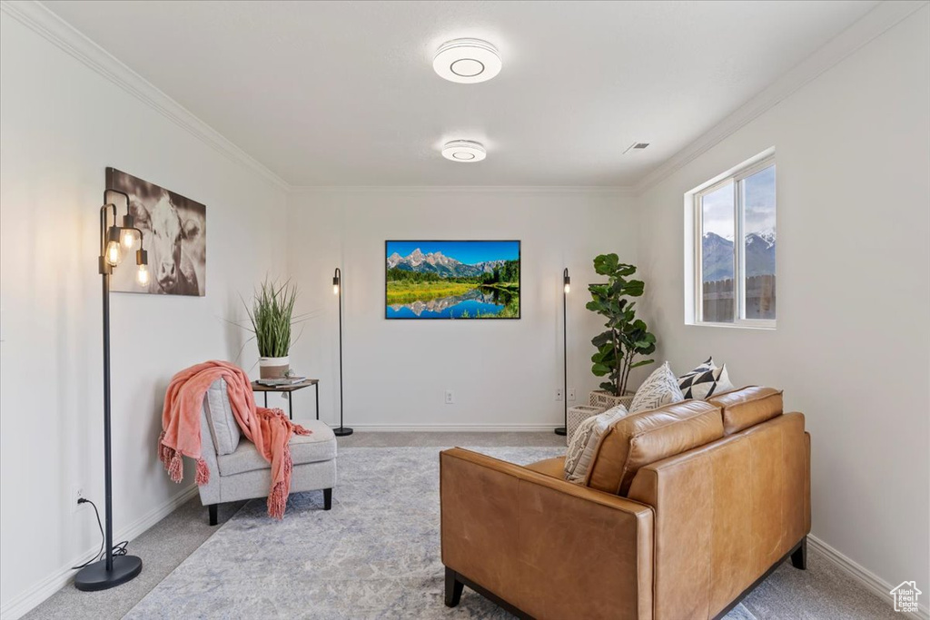 Carpeted living room featuring ornamental molding and baseboards